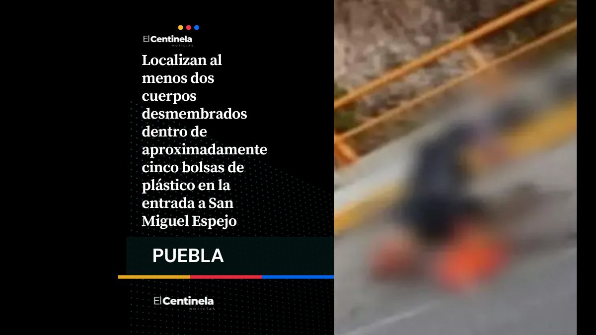 Hallan al menos dos cuerpos desmembrados en bolsas de plástico en San Miguel Espejo