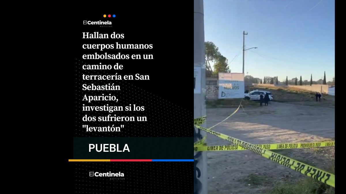Abandonan dos cuerpos embolsados en San Sebastián Aparicio, investigan posible “levantón”