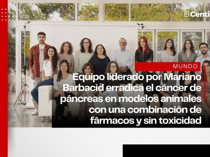 Científicos españoles eliminan cáncer de páncreas en modelos animales con terapia innovadora