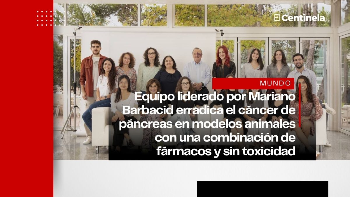 Científicos españoles eliminan cáncer de páncreas en modelos animales con terapia innovadora