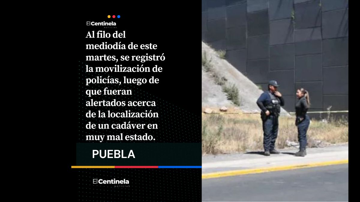 Hallan cadáver putrefacto en el Periférico Ecológico