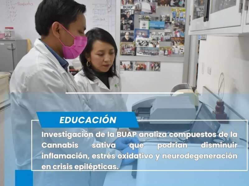 Cannabinoides bajo la lupa científica