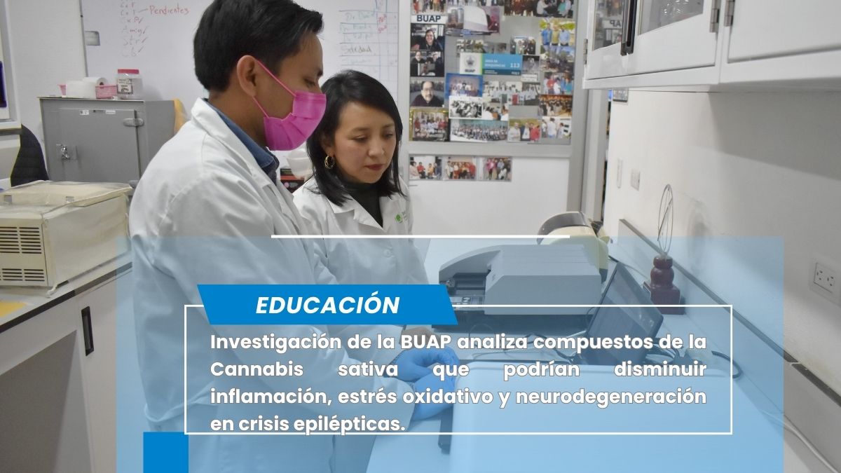 Cannabinoides bajo la lupa científica