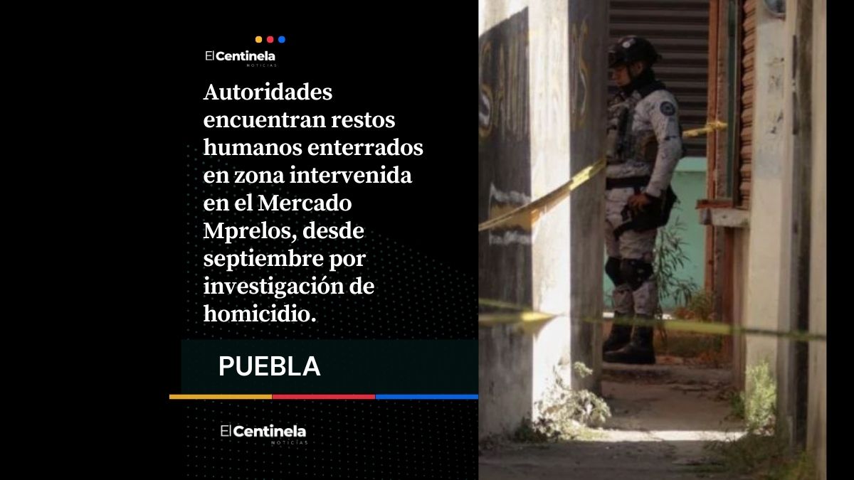 Localizan fosa clandestina con restos humanos tras megaoperativo en el Mercado Morelos