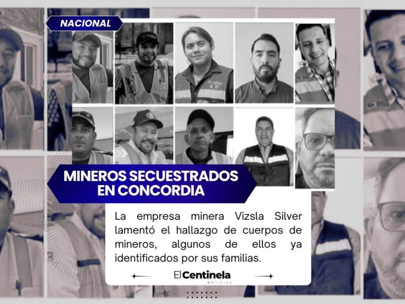 La empresa minera Vizsla Silver lamentó el hallazgo de cuerpos de mineros,