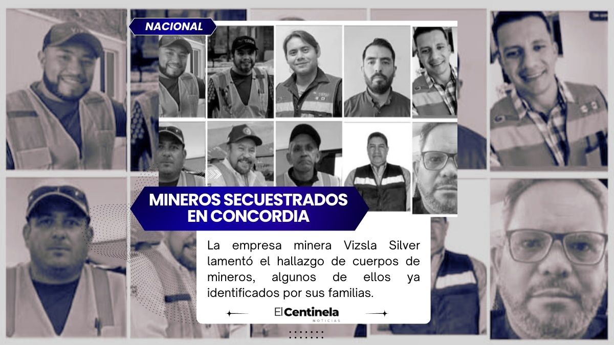 La empresa minera Vizsla Silver lamentó el hallazgo de cuerpos de mineros,