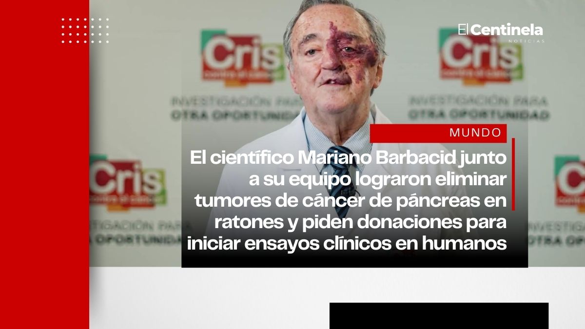 Médicos frenan el cáncer de páncreas en laboratorio y piden donaciones para avanzar a ensayos clínicos