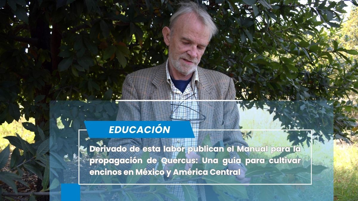 BUAP activa la conservación de encinos en México y América Central