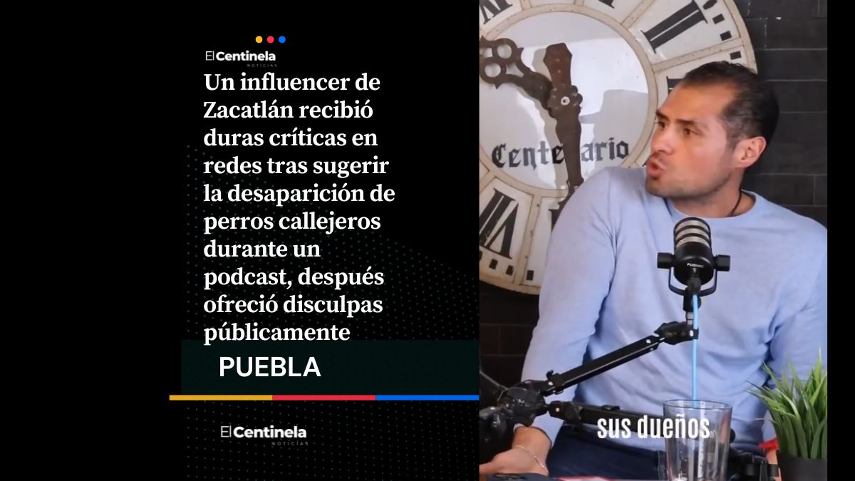 Influencer de Zacatlán desata polémica por comentarios sobre perros callejeros