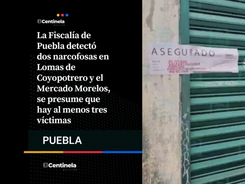FGE localiza dos narcofosas en Puebla en una semana, descubren al menos tres cuerpos