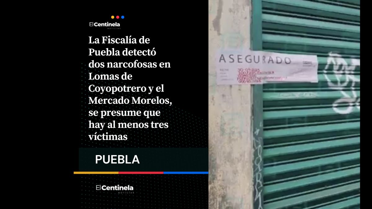 FGE localiza dos narcofosas en Puebla en una semana, descubren al menos tres cuerpos