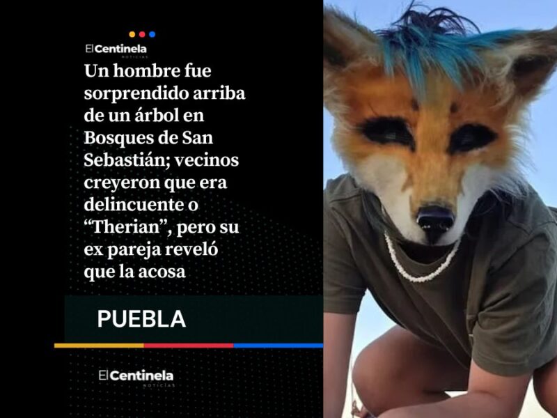 ¿Pues qué fue? Trepa árbol para vigilar a su ex en Bosques de San Sebastián, vecinos lo confuden con “Therian”