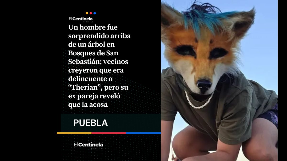 ¿Pues qué fue? Trepa árbol para vigilar a su ex en Bosques de San Sebastián, vecinos lo confuden con “Therian”