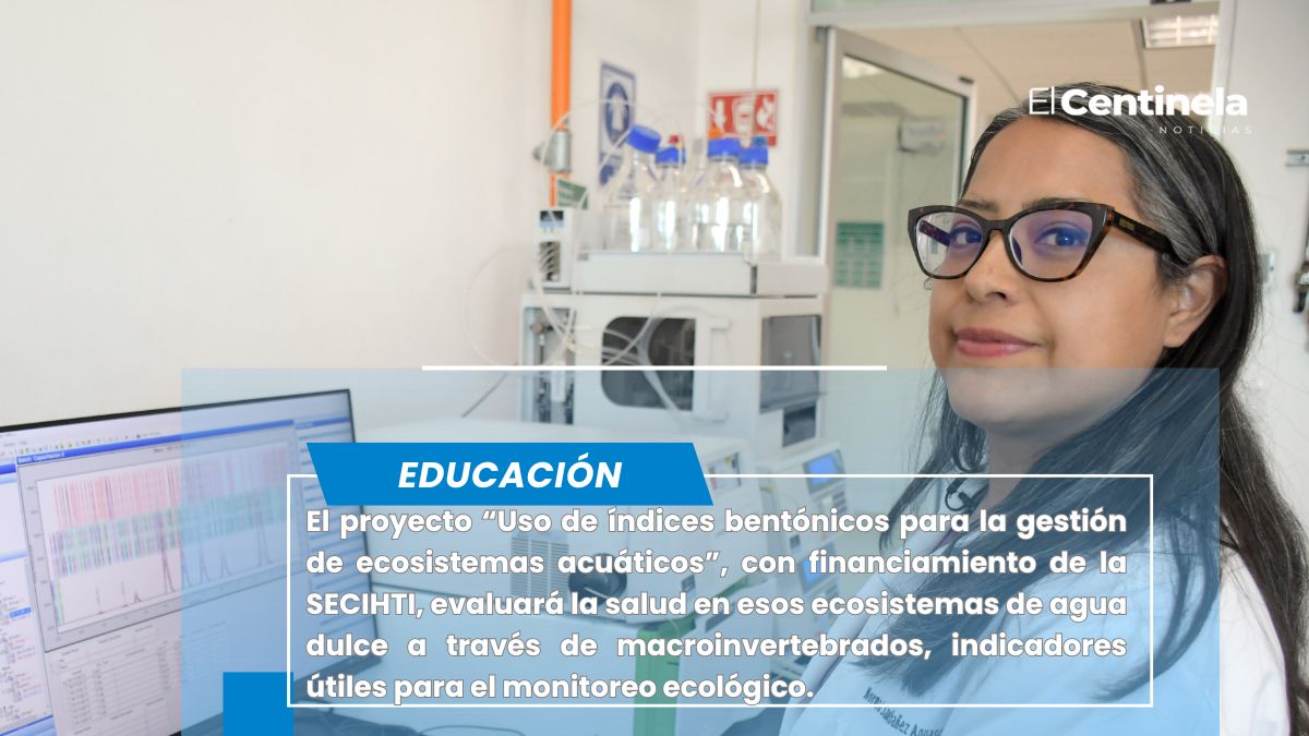Incursiona investigadora BUAP en uso de macroinvertebrados como indicadores de salud en ecosistemas acuáticos