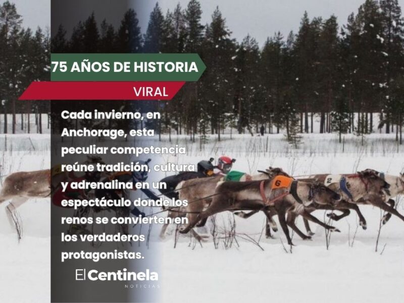 Así la famosa carrera de renos que tiene más de 75 años de historia