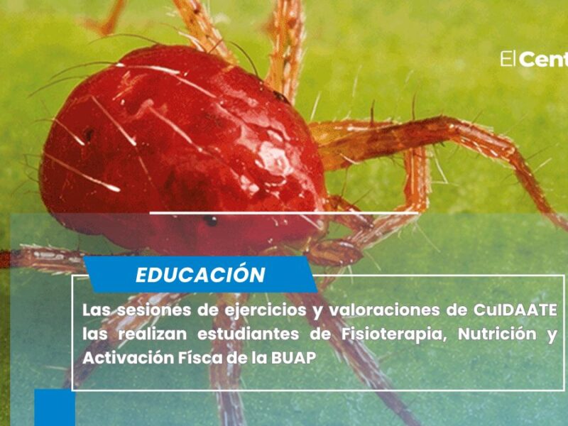 BUAP busca utilizar la Física para proteger cultivos prioritarios