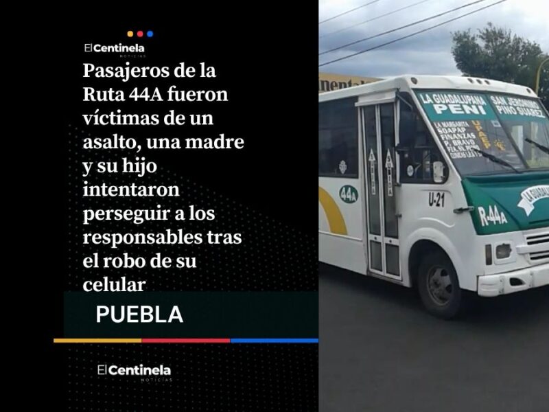 Asalto en Ruta 44A: madre e hijo persiguen a ladrones tras robo de celular