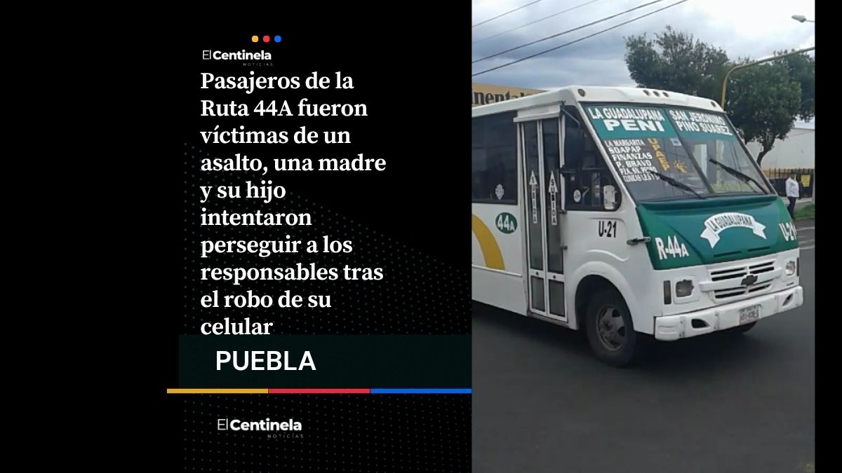 Asalto en Ruta 44A: madre e hijo persiguen a ladrones tras robo de celular