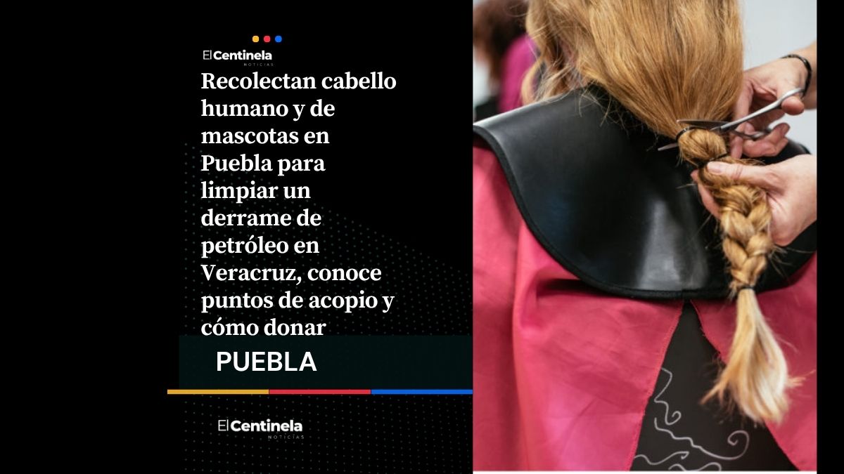 Donación de cabello en Puebla para limpiar derrame de hidrocarburos en Veracruz, ¿cómo ayudar?