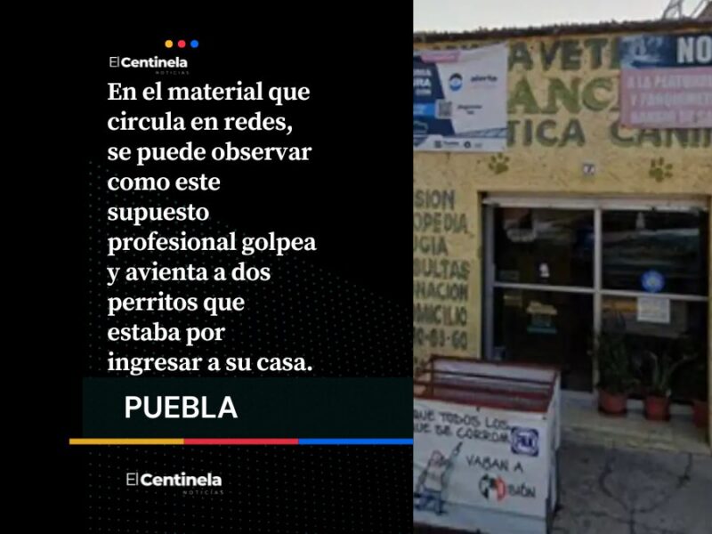 Exhiben a falso veterinario que violenta animales en Puebla capital