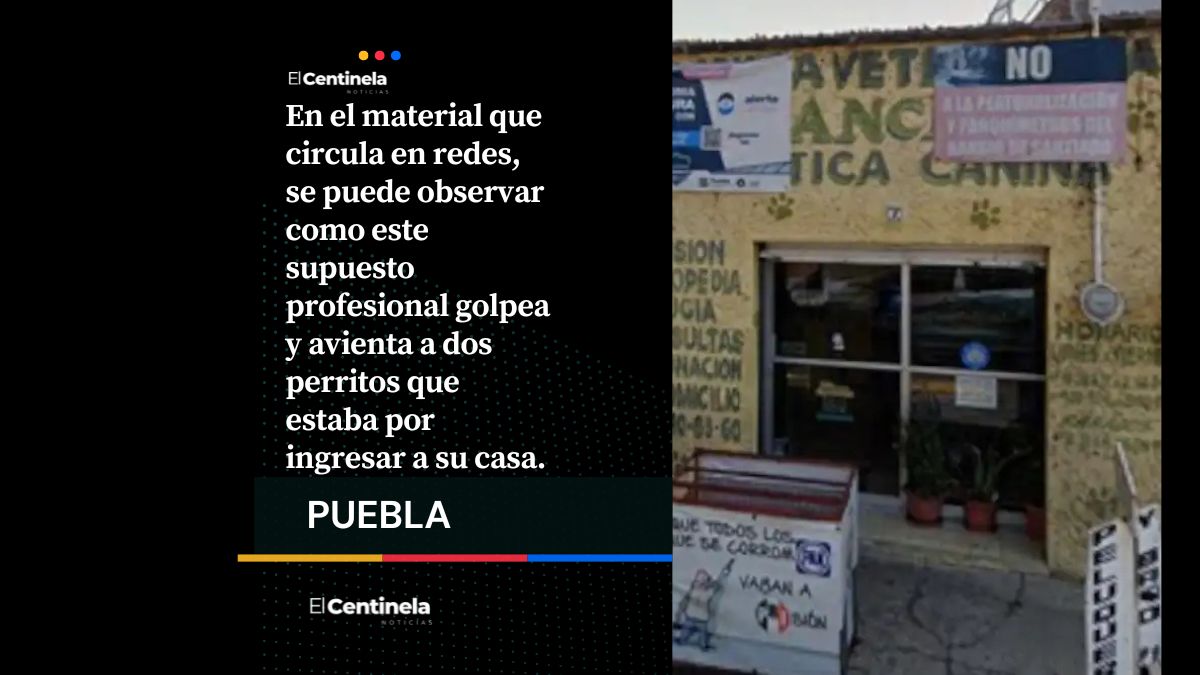 Exhiben a falso veterinario que violenta animales en Puebla capital