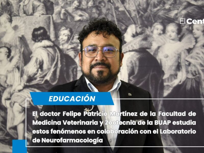 ¿Por qué te ama tu mascota? La ciencia lo explica