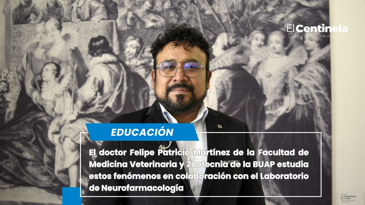 ¿Por qué te ama tu mascota? La ciencia lo explica