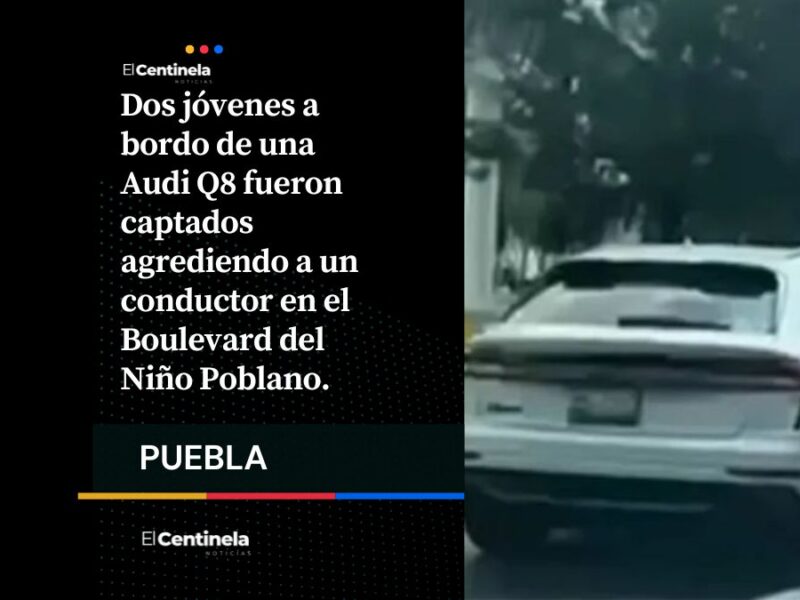 Juniors en Audi Q8 golpean a conductor y su perrito huye aterrorizado en Blvd. del Niño Poblano