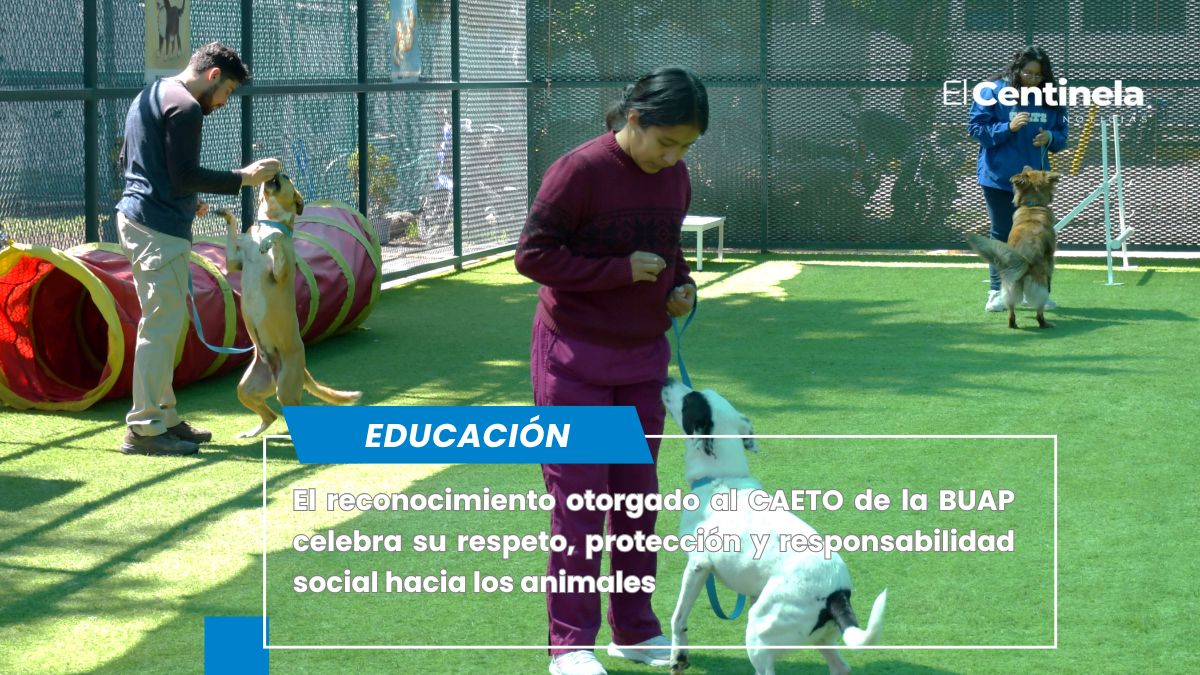 CAETO de la BUAP recibe reconocimiento por su compromiso a la protección hacia los animales