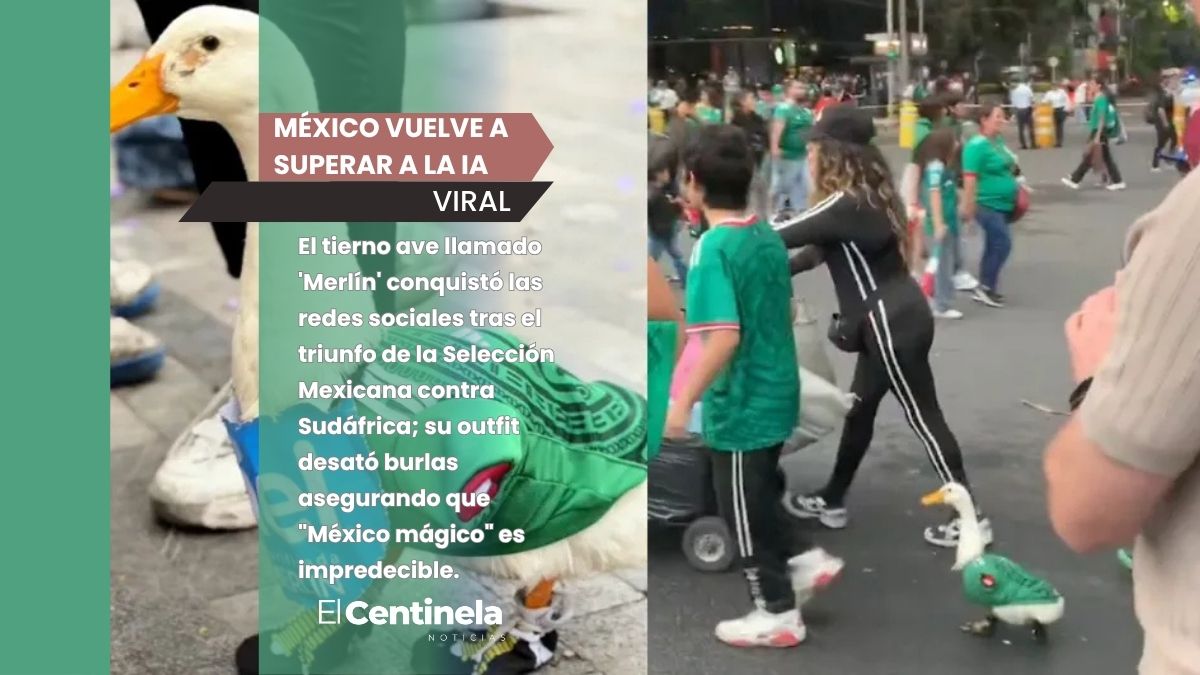 ¡México vuelve a superar a la IA! El pato 'Merlín' se vuelve viral al usar tenis y playera de la Selección Mexicana en los festejos del Mundial