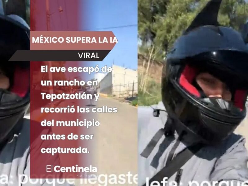 ¡Le ganó a la IA! Joven en motocicleta se graba siendo perseguido por avestruz en EdoMex