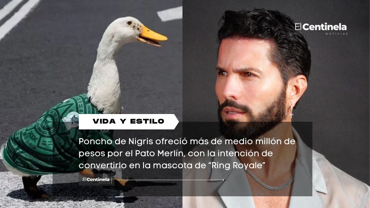 Poncho de Nigris ofrece hasta 600 mil pesos por el Pato Merlín para ser mascota de “Ring Royale”