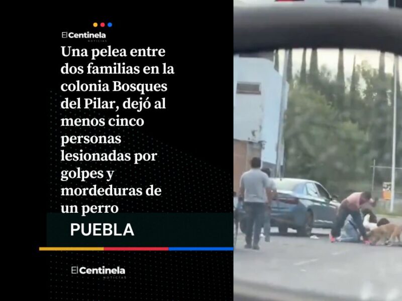 Encontronazo entre familias en Bosques del Pilar deja cinco lesionados, hasta un perrito intervino