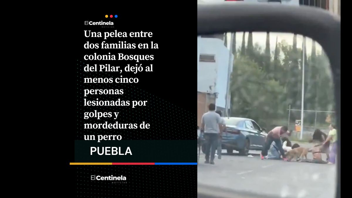 Encontronazo entre familias en Bosques del Pilar deja cinco lesionados, hasta un perrito intervino