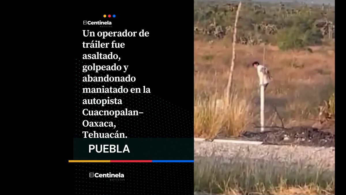 Golpean, amarran y abandonan a trailero tras robarle su unidad en la Cuacnopalan-Oaxaca
