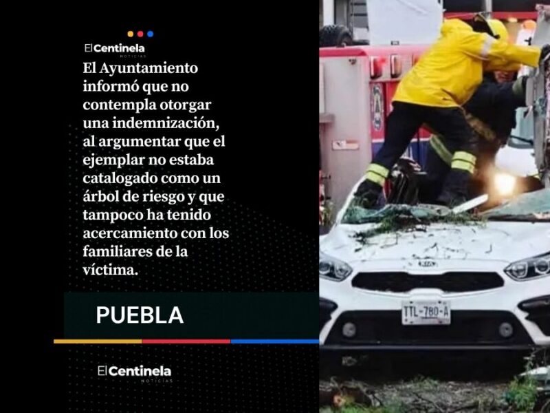 Chedraui deja sin indemnización a familia de mujer muerta en la tromba por caída del árbol al Kia: no los han contactado