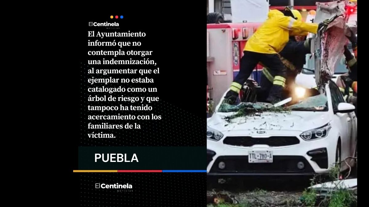 Chedraui deja sin indemnización a familia de mujer muerta en la tromba por caída del árbol al Kia: no los han contactado