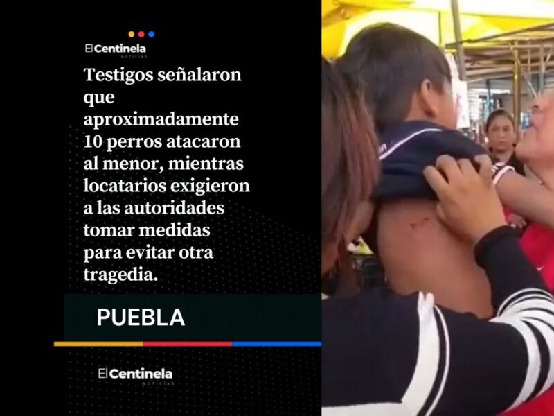 Jauría de perros ataca a un niño en el mercado de Amozoc