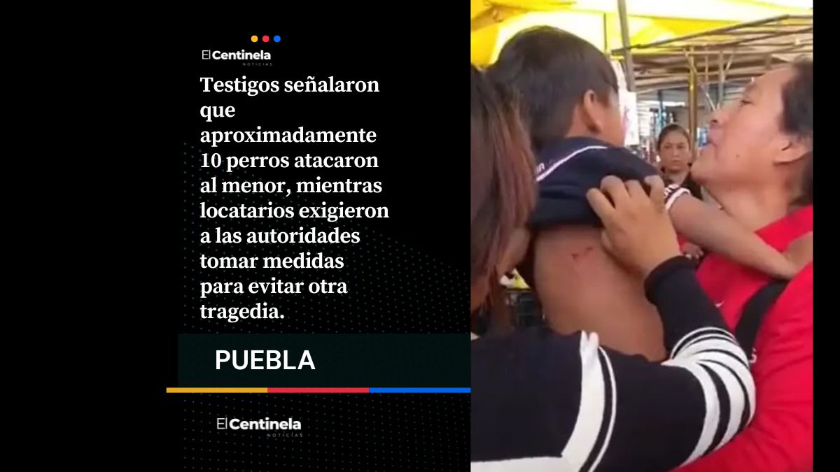 Jauría de perros ataca a un niño en el mercado de Amozoc