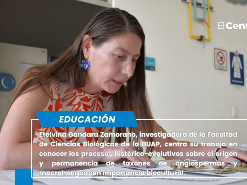 Investigadora BUAP indaga en las relaciones genealógicas entre diversas especies de plantas