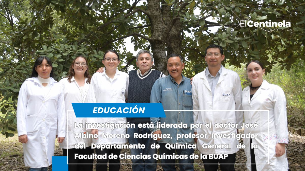 Crean nanomateriales en la BUAP para combatir plagas por gusano barrenador