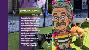 "Sigo vivo, viejo pend*jo": guardería de perritos compra piñata de Pedro Sola a sus huéspedes tras la cancelación del conductor