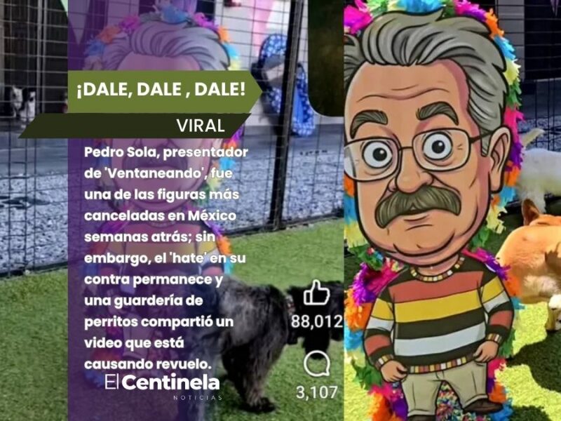 "Sigo vivo, viejo pend*jo": guardería de perritos compra piñata de Pedro Sola a sus huéspedes tras la cancelación del conductor