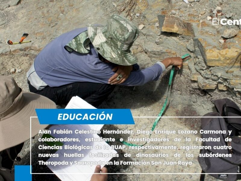 Investigadores BUAP registran nuevas huellas de dinosaurio en Puebla