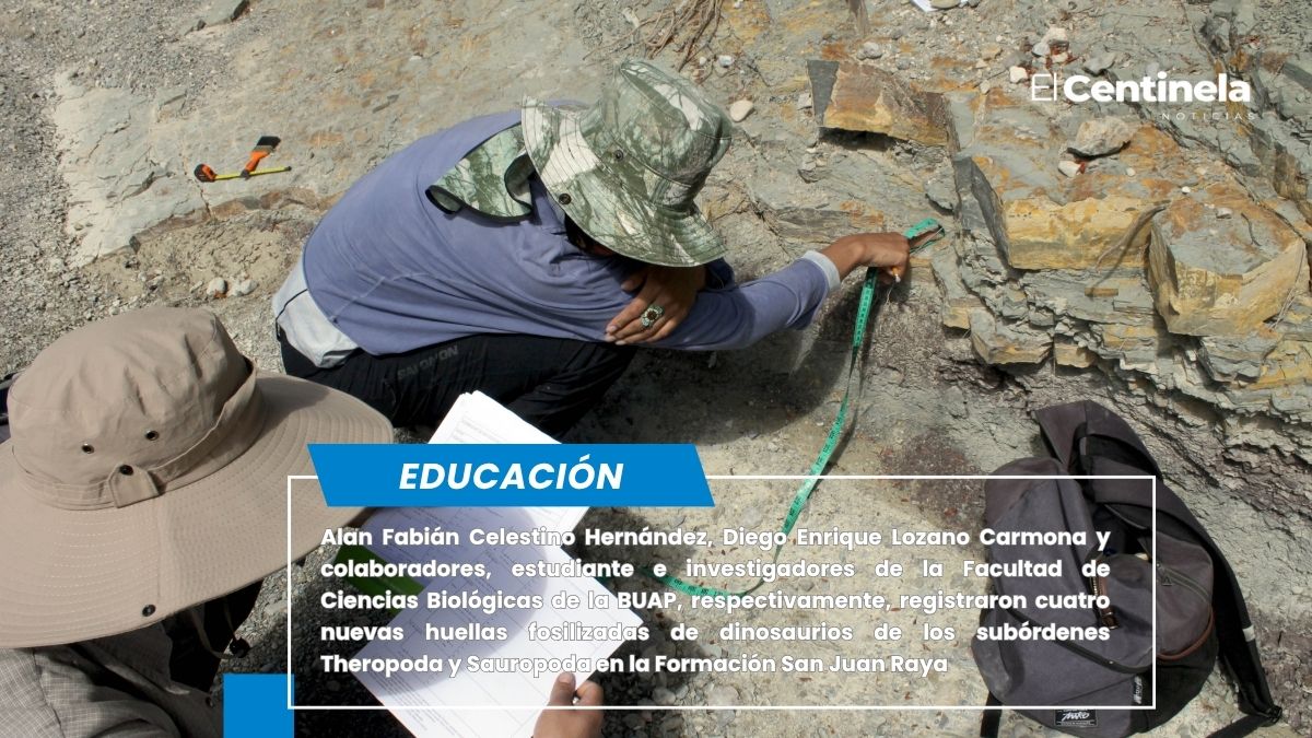 Investigadores BUAP registran nuevas huellas de dinosaurio en Puebla