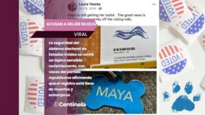 Acusan a mujer en EEUU por registrar a su perra para votar