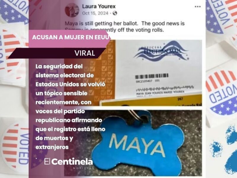 Acusan a mujer en EEUU por registrar a su perra para votar