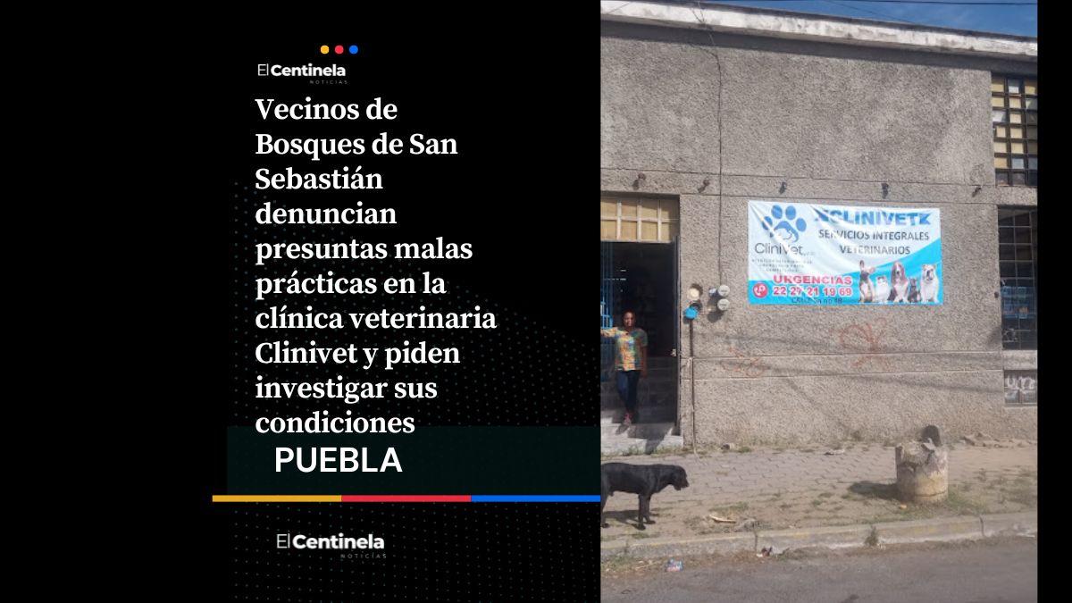 Vecinos denuncian presuntas malas prácticas en clínica veterinaria Clinivet de Bosques de San Sebastián