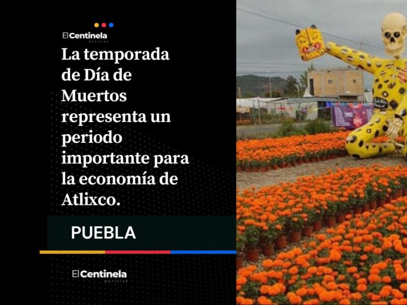 Prepárate para el Día de Muertos: estas son las fechas y horas para la venta de cempasúchil en Atlixco
