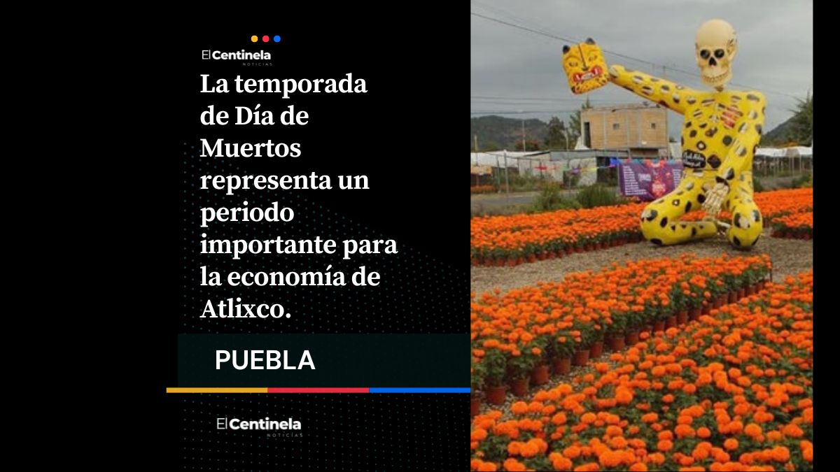 Prepárate para el Día de Muertos: estas son las fechas y horas para la venta de cempasúchil en Atlixco